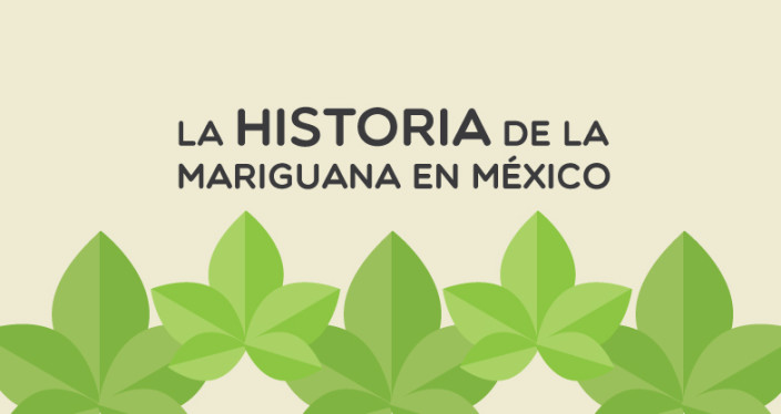 linea-mariguana-slide