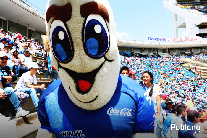 La mascota/ Foto por: Vero Altamirano