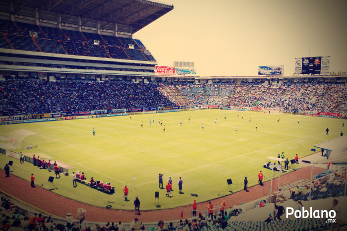 Majestuoso/ Foto por: Vero Altamirano 