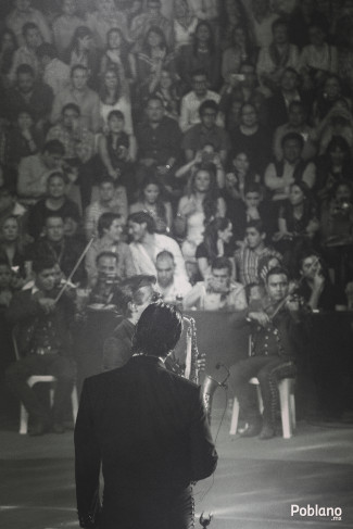 Foto Por: Fabián Oloarte alejadnro-fernandez-palenque-12