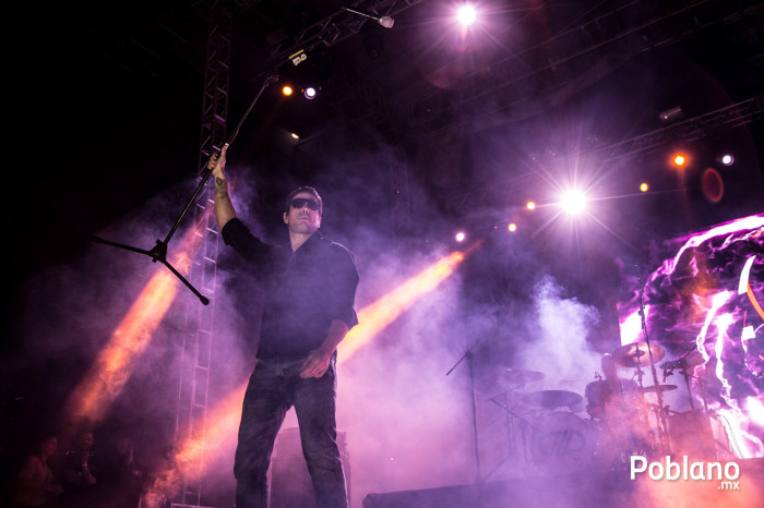 dld-puebla-2014-3