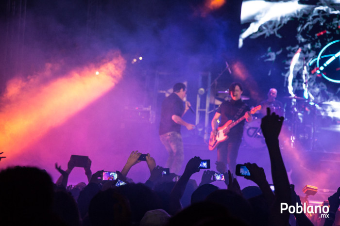 dld-puebla-2014-7