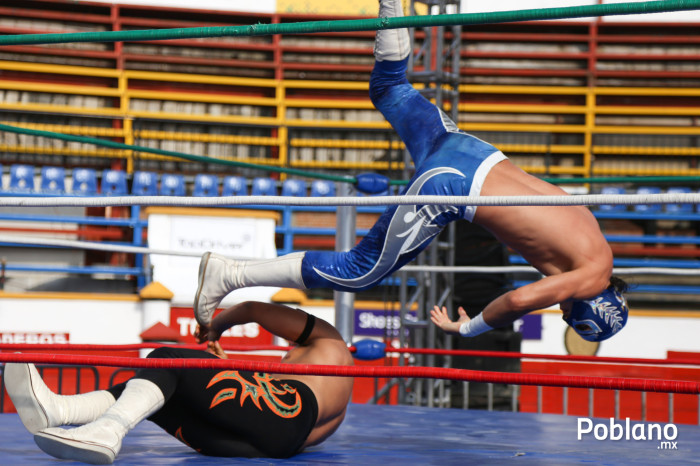 Soberano al suelo/ Foto Por: Ludwin Cuevas