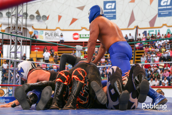 Diamante Azul sobre todos/ Foto por: Ludwin Cuevas