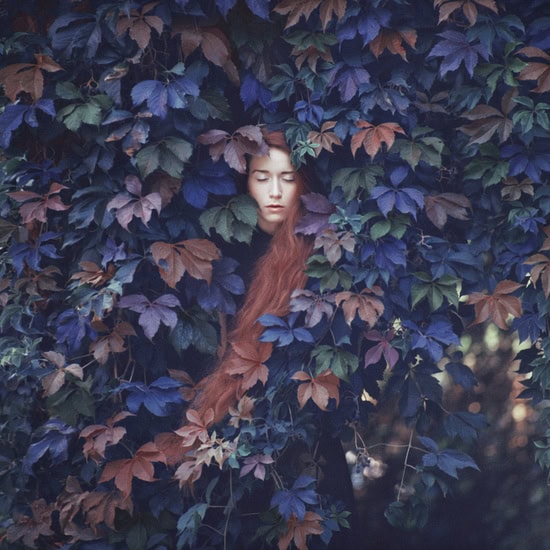 Foto por: Oleg Oprisco