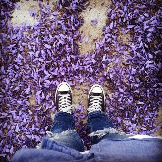purpleticita