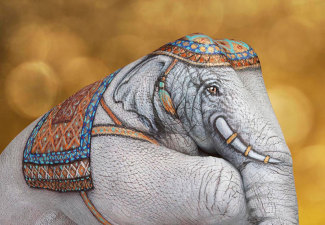 elephant-white-on-gold