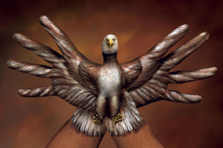 guidodaniele-bald-eagle-2-hands