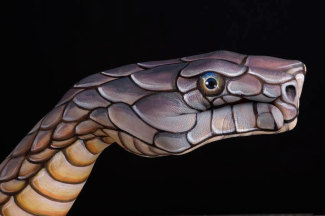 guidodaniele-cobra_2