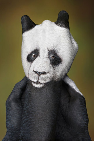 guidodaniele-panda-on-green