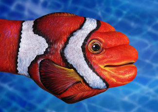 guidodaniele-pesce_pagliaccio