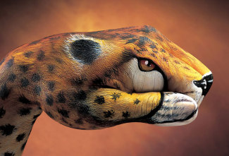 guidodanielecheetah-2001