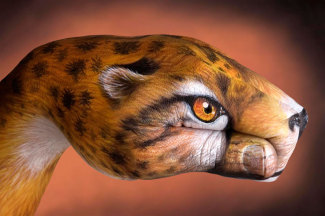 guidodanielecheetah-2007