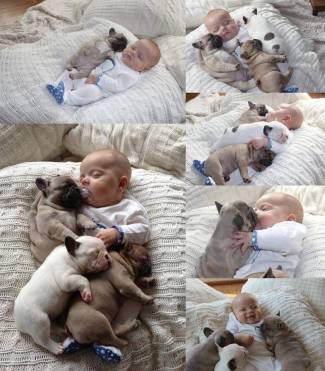 mascota-y-bebes-nota-video-poblanomx-compilacion