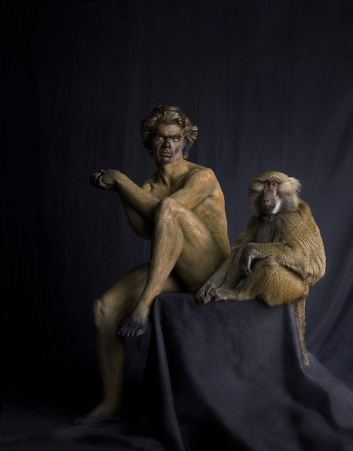 ani-human series