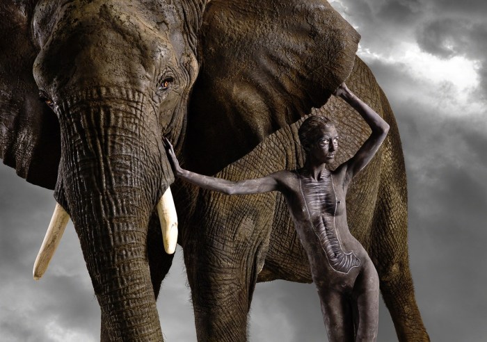 ani-human AFRICAN ELEPHANT