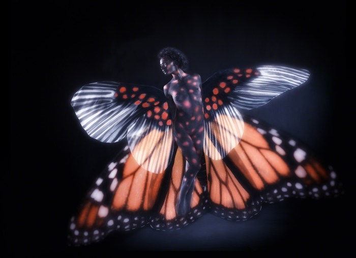 ani-human butterfly,