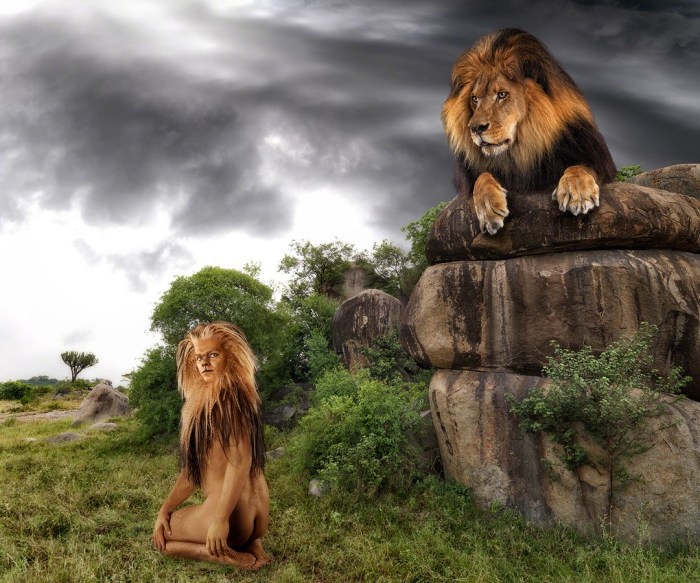 ani-human lion 6