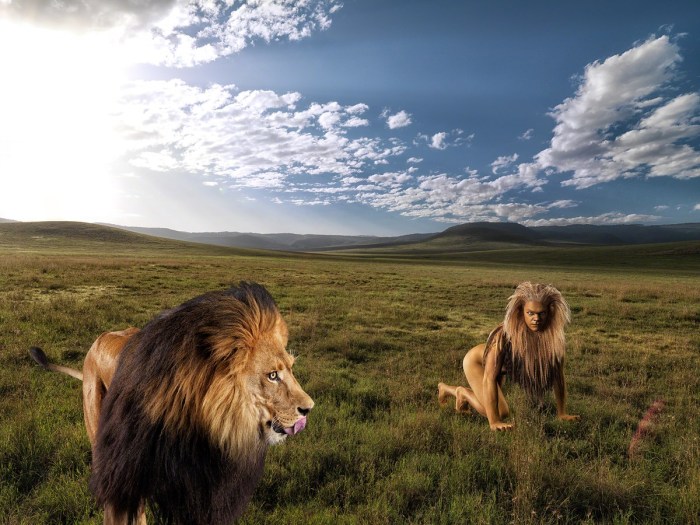 ani-human lion 2