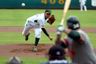 pericos-puebla