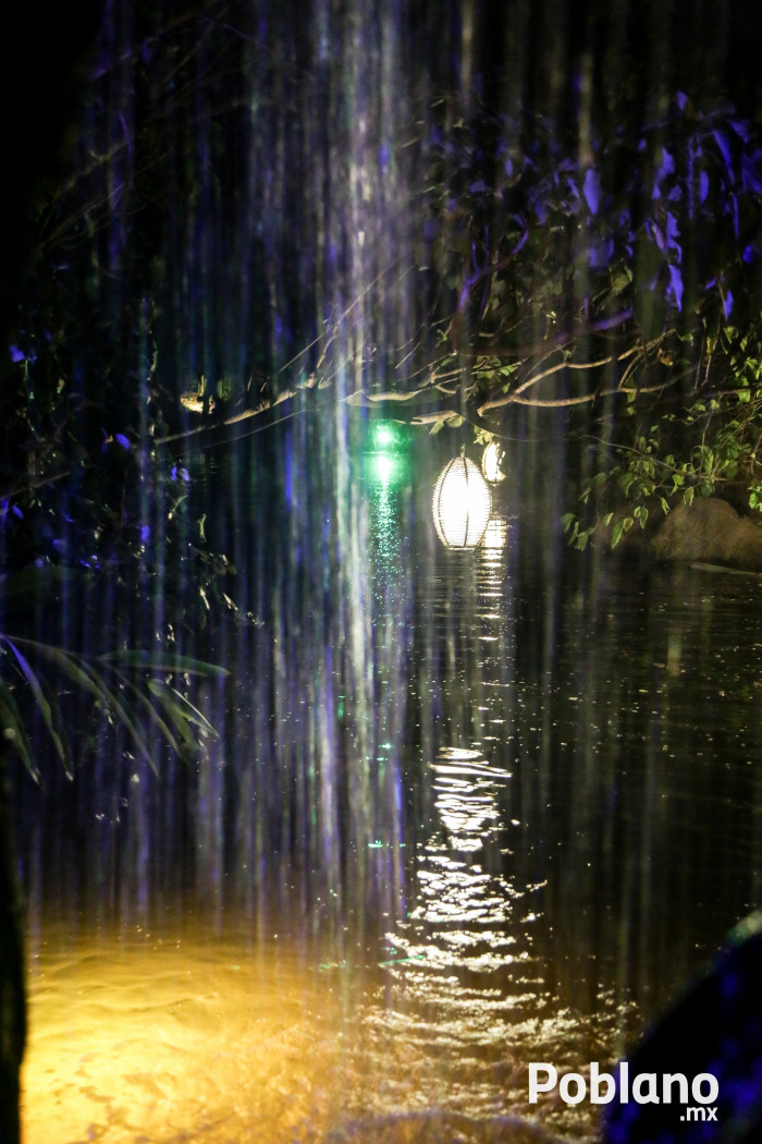 africam-safari-nocturno-puebla-19