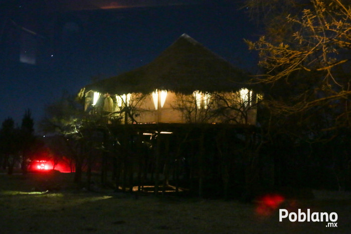 africam-safari-nocturno-puebla-9 copy