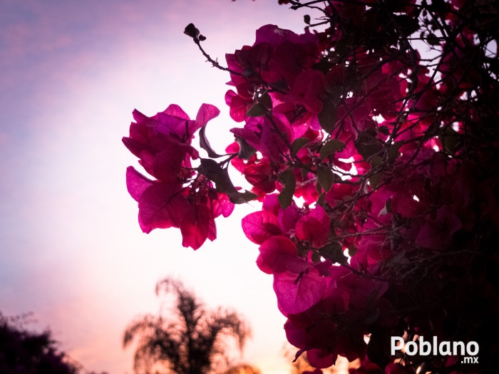 febrero-mes-del-amor-12