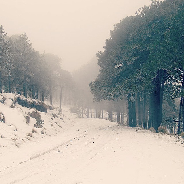 Nieve en Autopista México Puebla / Foto Por: @raqueldelacroix