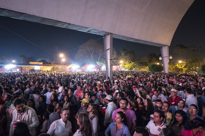 Angeles Azules Foto Fernando Tajin 2015-