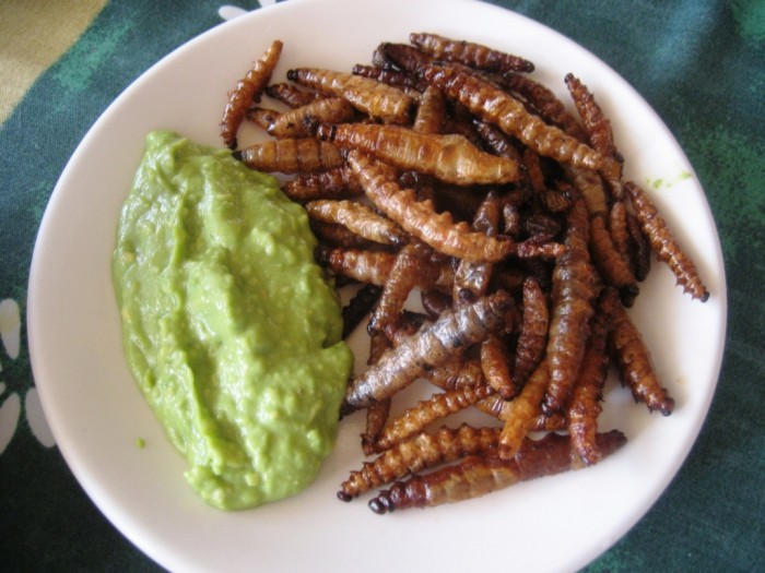 Gusanos de Maguey/Foto vía: Sabores de México
