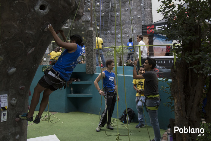 irock-2015-rocodromo-fusion-puebla-3
