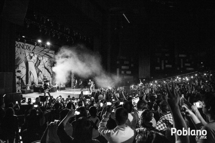 panda-en-puebla-2015-foto-galeria-12