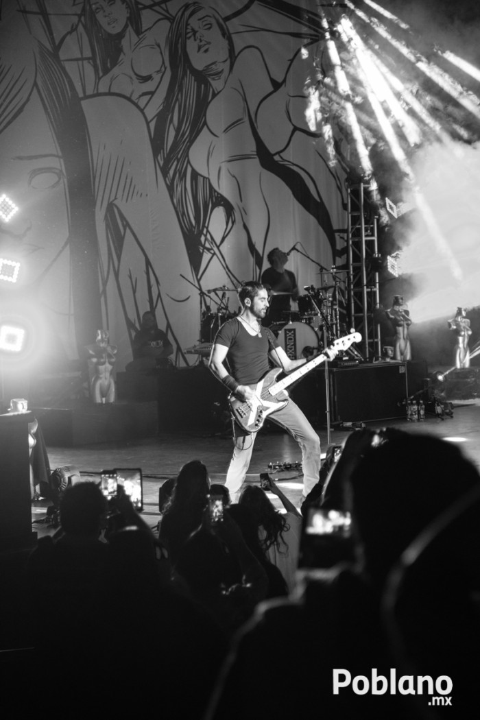 panda-en-puebla-2015-foto-galeria-14