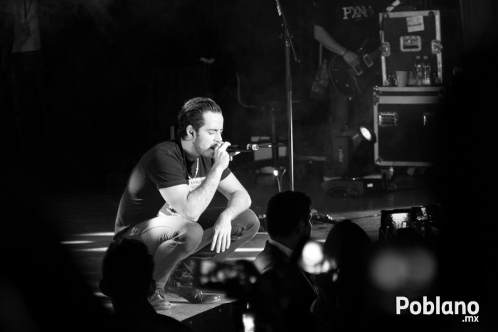 panda-en-puebla-2015-foto-galeria-15