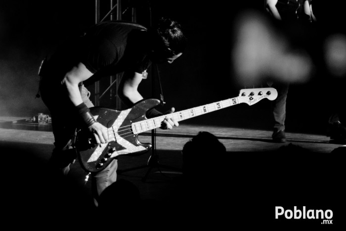 panda-en-puebla-2015-foto-galeria-18