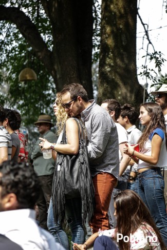 guacamaya-festival-del-buen-cotorreo (13)