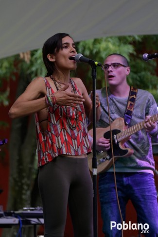 guacamaya-festival-del-buen-cotorreo (18)