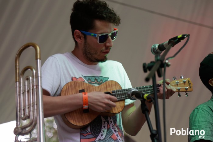 guacamaya-festival-del-buen-cotorreo (19)