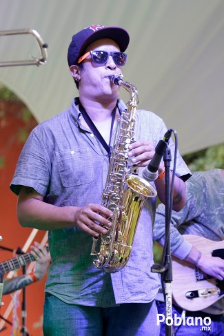 guacamaya-festival-del-buen-cotorreo (23)