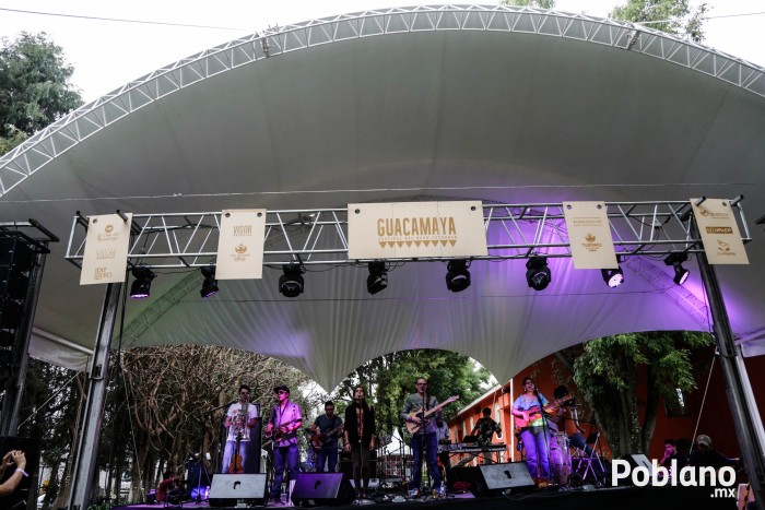 guacamaya-festival-del-buen-cotorreo (26)