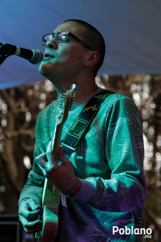 guacamaya-festival-del-buen-cotorreo (28)