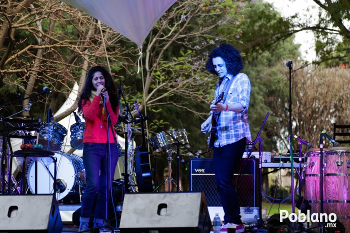 guacamaya-festival-del-buen-cotorreo (29)