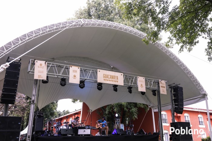 guacamaya-festival-del-buen-cotorreo (3)