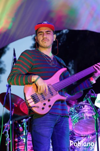 guacamaya-festival-del-buen-cotorreo (32)