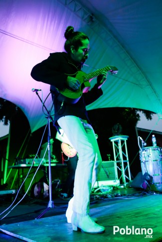 guacamaya-festival-del-buen-cotorreo (34)