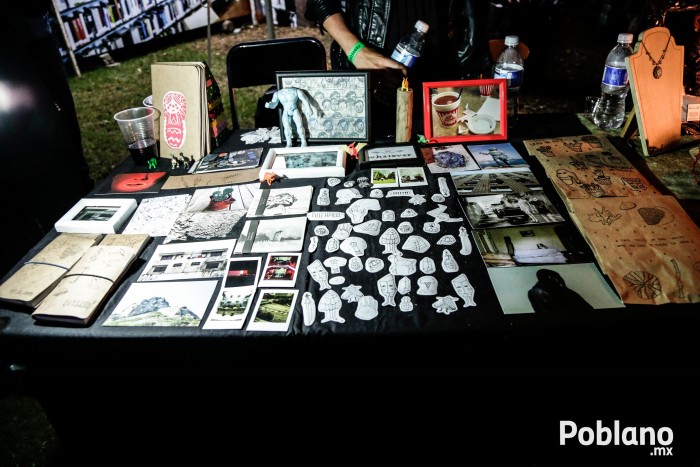 guacamaya-festival-del-buen-cotorreo (40)