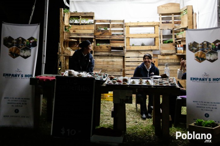 guacamaya-festival-del-buen-cotorreo (47)