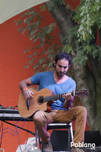 guacamaya-festival-del-buen-cotorreo (5)