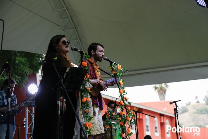 guacamaya-festival-del-buen-cotorreo (8)