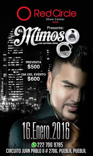 Banner vertical 3